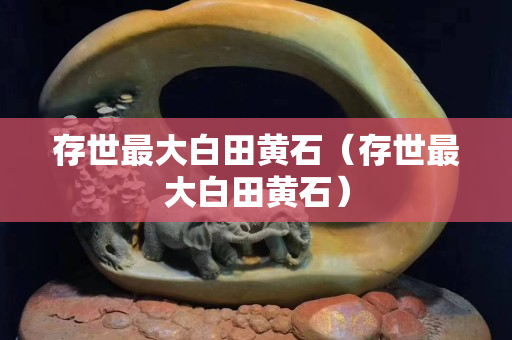 存世最大白田黃石（存世最大白田黃石）