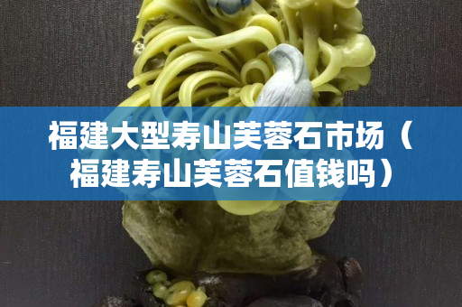 福建大型壽山芙蓉石市場（福建壽山芙蓉石值錢嗎）