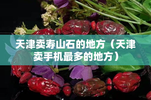 天津賣壽山石的地方（天津賣手機最多的地方）