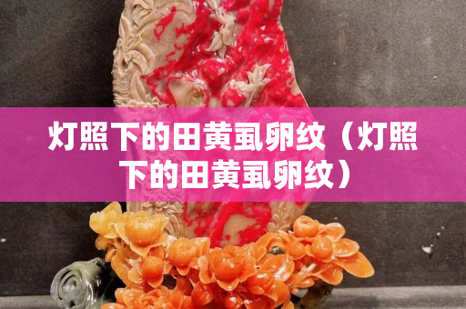 燈照下的田黃虱卵紋（燈照下的田黃虱卵紋）
