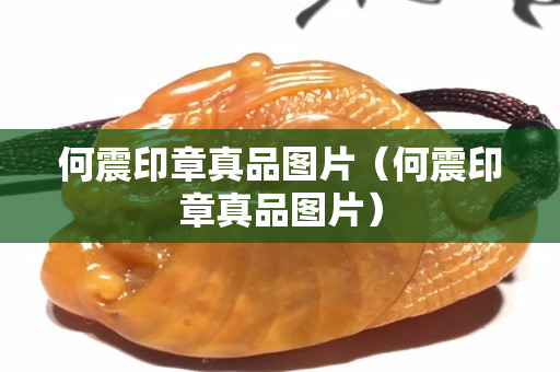 何震印章真品圖片（何震印章真品圖片）