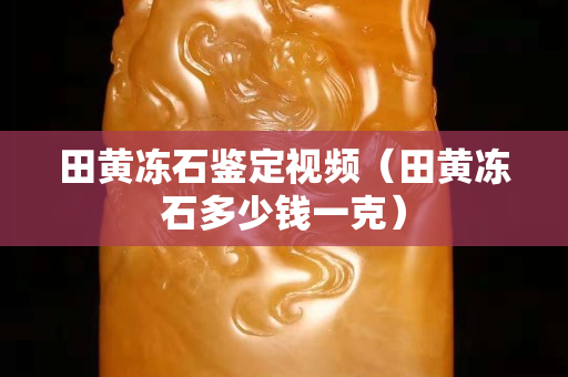 田黃凍石鑒定視頻（田黃凍石多少錢一克）