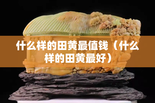 什么樣的田黃最值錢（什么樣的田黃最好）