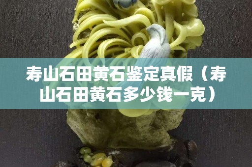 壽山石田黃石鑒定真假（壽山石田黃石多少錢一克）