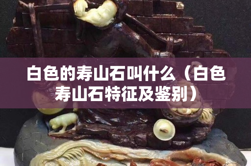 白色的壽山石叫什么（白色壽山石特征及鑒別）
