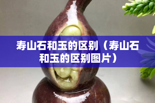 壽山石和玉的區別（壽山石和玉的區別圖片）