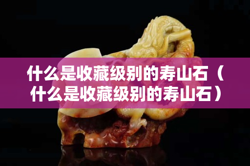 什么是收藏級別的壽山石（什么是收藏級別的壽山石）