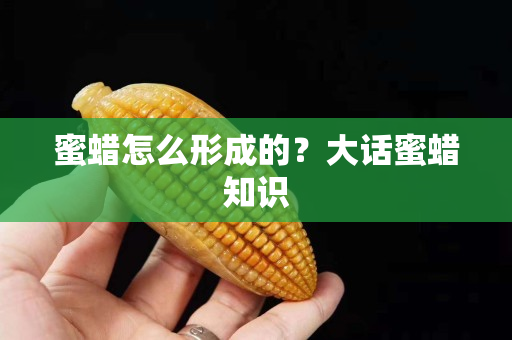 蜜蠟怎么形成的？大話蜜蠟知識