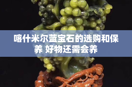 喀什米爾藍寶石的選購和保養 好物還需會養