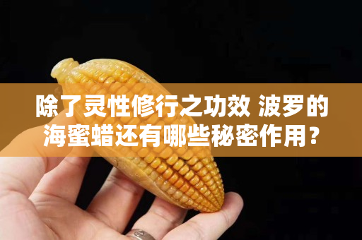 除了靈性修行之功效 波羅的海蜜蠟還有哪些秘密作用？