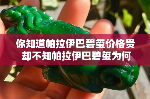 你知道帕拉伊巴碧璽價(jià)格貴 卻不知帕拉伊巴碧璽為何貴