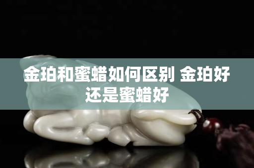 金珀和蜜蠟如何區別 金珀好還是蜜蠟好