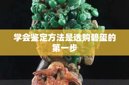 學會鑒定方法是選購碧璽的第一步