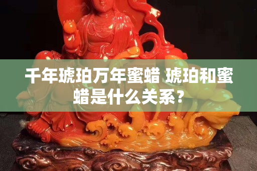 千年琥珀萬年蜜蠟 琥珀和蜜蠟是什么關系？
