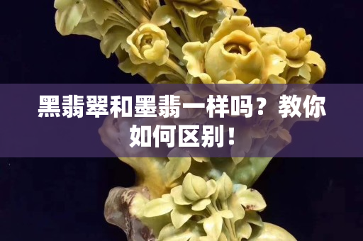 黑翡翠和墨翡一樣嗎？教你如何區別！