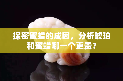 探密蜜蠟的成因，分析琥珀和蜜蠟哪一個更貴？