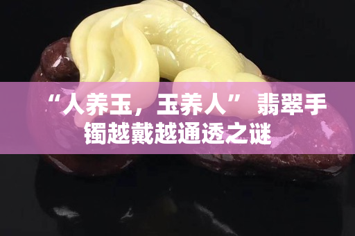 “人養玉，玉養人” 翡翠手鐲越戴越通透之謎