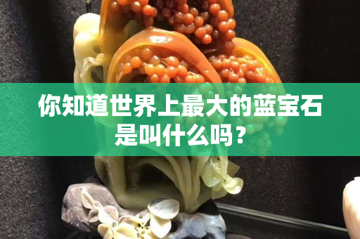 你知道世界上最大的藍寶石是叫什么嗎？