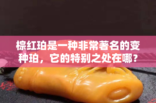 棕紅珀是一種非常著名的變種珀，它的特別之處在哪？