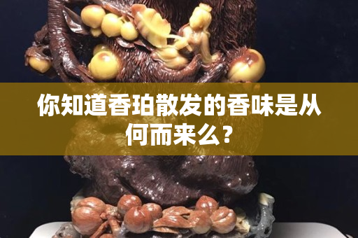 你知道香珀散發的香味是從何而來么？