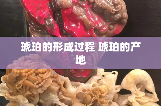 琥珀的形成過程 琥珀的產地