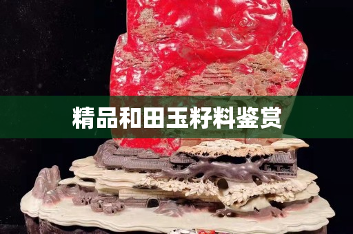 精品和田玉籽料鑒賞