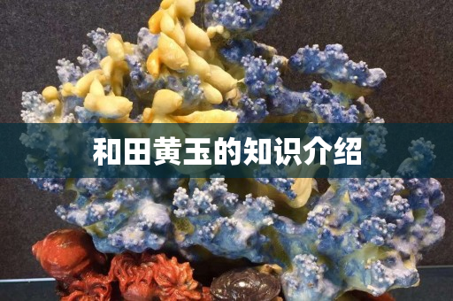 和田黃玉的知識介紹