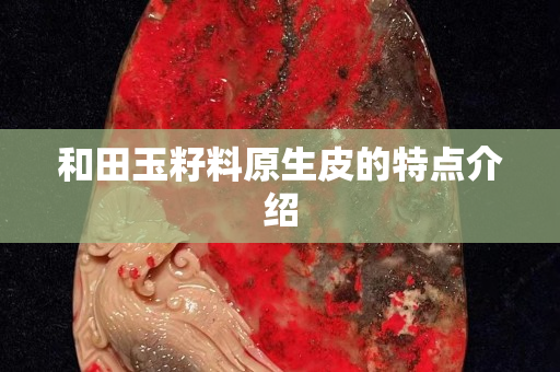和田玉籽料原生皮的特點介紹