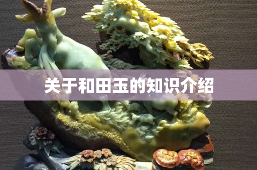 關(guān)于和田玉的知識(shí)介紹
