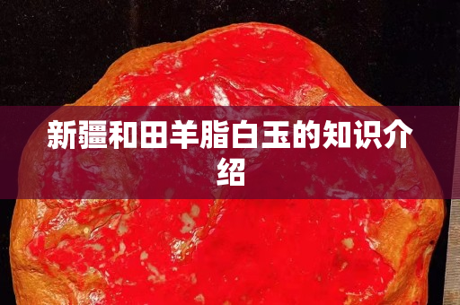 新疆和田羊脂白玉的知識介紹