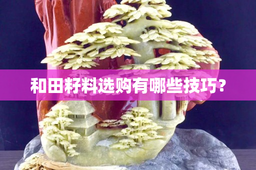 和田籽料選購(gòu)有哪些技巧？