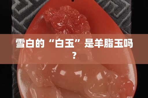雪白的“白玉”是羊脂玉嗎?