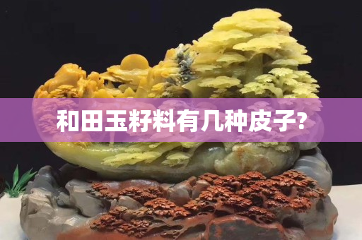 和田玉籽料有幾種皮子?