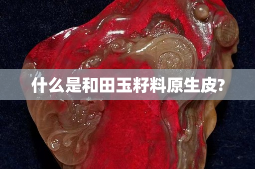 什么是和田玉籽料原生皮?
