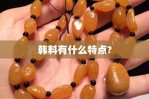 韓料有什么特點?