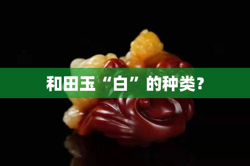 和田玉“白”的種類？