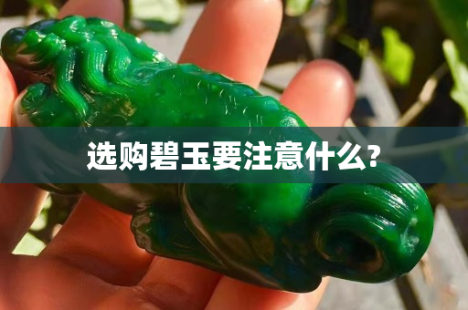 選購碧玉要注意什么?
