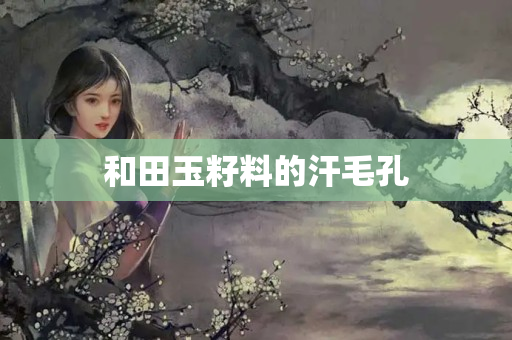 和田玉籽料的汗毛孔