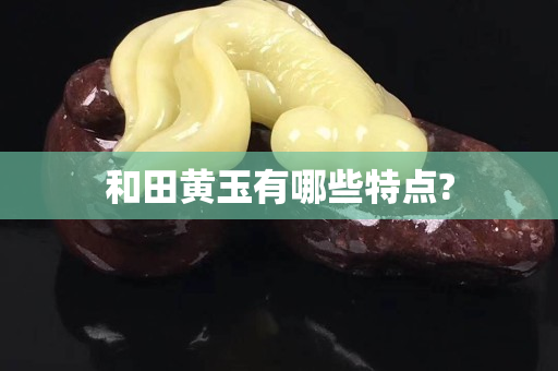 和田黃玉有哪些特點(diǎn)?