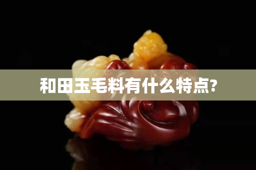 和田玉毛料有什么特點?