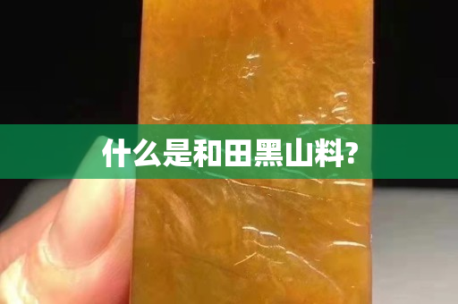 什么是和田黑山料?