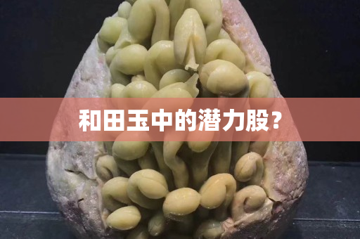 和田玉中的潛力股？
