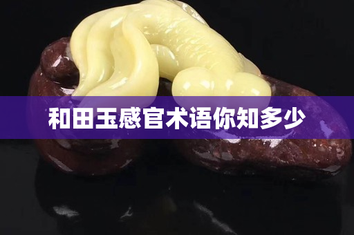 和田玉感官術(shù)語(yǔ)你知多少