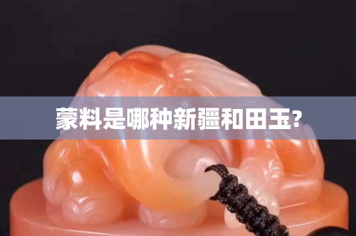 蒙料是哪種新疆和田玉?
