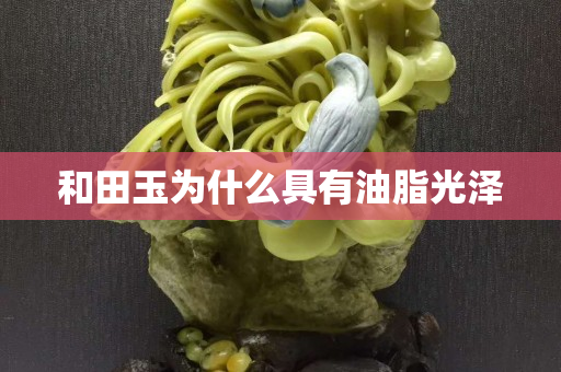 和田玉為什么具有油脂光澤