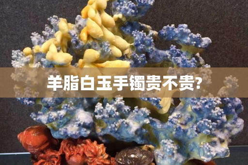 羊脂白玉手鐲貴不貴?