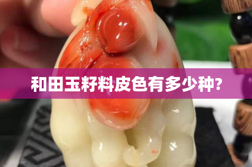 和田玉籽料皮色有多少種?