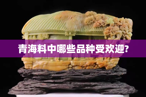 青海料中哪些品種受歡迎?