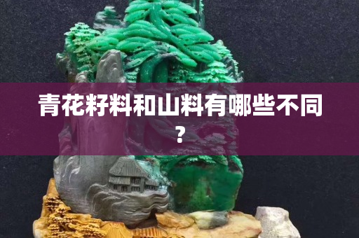 青花籽料和山料有哪些不同?