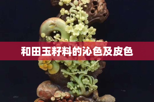 和田玉籽料的沁色及皮色